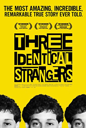 2018 Three Identical Strangers